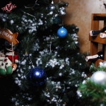 image_d3adc1a7f721.jpg